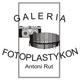 logo_fotoplastykon_080