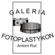 logo_galeria_fotoplastykon---080