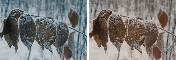 Zdjęcie wykonane zostało już po zachodzie słońca, gdy śnieg miał zdecydowanie błękitny odcień. Na fotografii z lewej widzimy naturalne odwzorowanie barwy śniegu, na zdjęciu z prawej odcień bieli został zbalansowany do neutralnego.